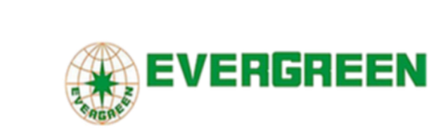Evergreen